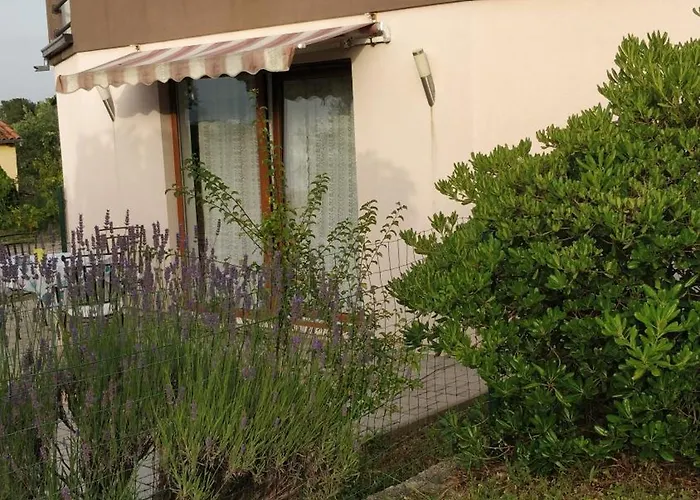 Apartment Lavinia