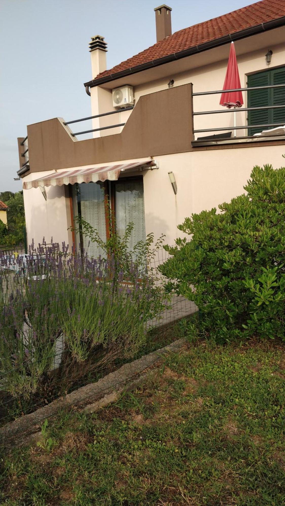 Apartment Lavinia Zadar